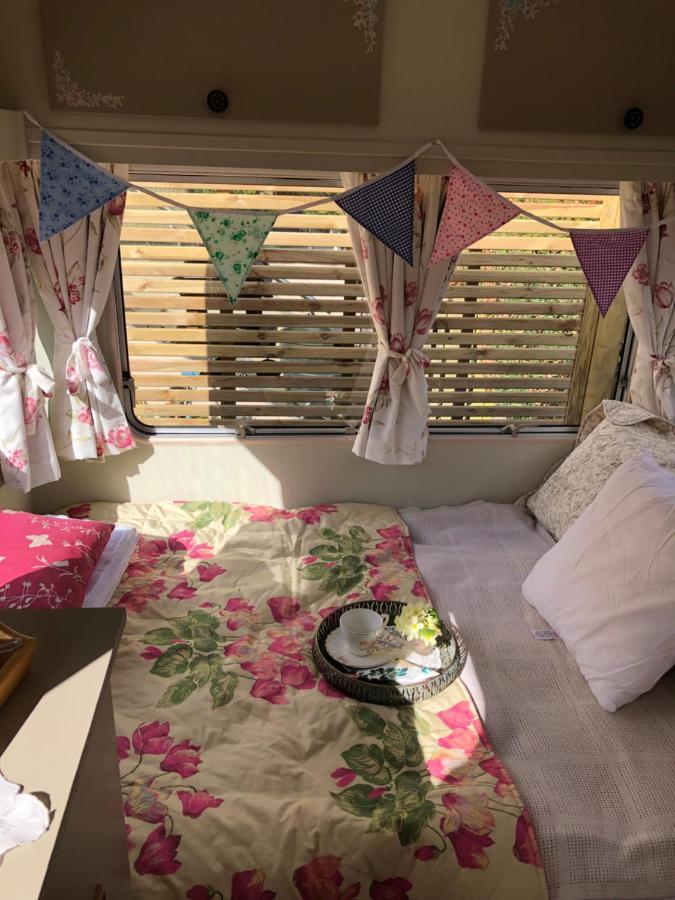Down The Garden Path Vintage Caravan B&B , Dartmoor Newton Abbot Exterior photo